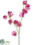 Silk Plants Direct Sweet Pea Spray - Fuchsia - Pack of 12