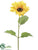 Sunflower Spray - Yellow - Pack of 12