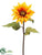 Sunflower Spray - Mustard - Pack of 12