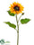 Sunflower Spray - Yellow - Pack of 12