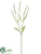 Forest Setaria Spray - Cream Green - Pack of 12