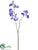 Sweetpea Spray - Lavender - Pack of 24