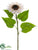 Sunflower Spray - Beige - Pack of 6