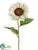 Sunflower Spray - Cream - Pack of 12