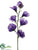 Sweet Pea Spray - Lavender Dark - Pack of 12