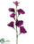 Sweet Pea Spray - Orchid Dark - Pack of 12