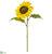 Sunflower Spray - Yellow - Pack of 12