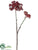 Silk Plants Direct Sedum Spray - Burgundy - Pack of 12