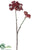 Silk Plants Direct Sedum Spray - Burgundy - Pack of 12