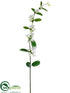 Silk Plants Direct Stephanotis Spray - White - Pack of 12