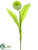 Silk Plants Direct Tulip Spray - Green Cream - Pack of 12