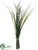 Tulip Bundle - White - Pack of 12