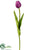 Tulip Bud Spray - Plum - Pack of 12