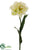 Tulip Spray - Cream Green - Pack of 12