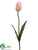 Tulip Spray - Pink Green - Pack of 12