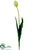 Tulip Spray - Yellow Green - Pack of 12