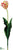 Parrot Tulip Spray - Rose Green - Pack of 12