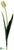 Dutch Tulip Spray - Green Pink - Pack of 12