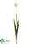 Tulip Spray - Cream - Pack of 12