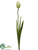 Tulip Spray - Green - Pack of 12