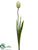 Tulip Spray - Green - Pack of 12