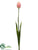 Tulip Spray - Pink Green - Pack of 12