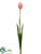 Tulip Spray - Pink Green - Pack of 12