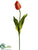 Tulip Spray - Apricot - Pack of 12