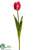 Tulip Spray - Beauty - Pack of 12