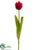 Tulip Spray - Red - Pack of 12