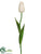 Dutch Tulip Spray - Cream - Pack of 12