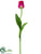 Tulip Spray - Rubrum - Pack of 12