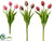 Tulip Bundle - Assorted - Pack of 12