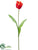 Tulip Spray - Flame - Pack of 12