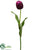 Tulip Spray - Plum - Pack of 12