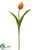 Tulip Bud Spray - Orange - Pack of 12