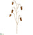 Dipsacus Teasel Spray - Beige Brown - Pack of 12