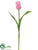 Tulip Spray - Pink - Pack of 12