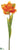 Parrot Tulip Spray - Orange Flame - Pack of 12