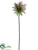 Thistle Spray - Green Burgundy - Pack of 12