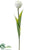 Tulip Spray - White - Pack of 12