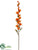 Tuberose Spray - Mustard Terra Cotta - Pack of 12