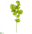 Viburnum Spray - Green - Pack of 12