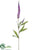 Veronica Spray - Purple - Pack of 24