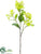 Silk Plants Direct Viburnum Spray - Green - Pack of 12