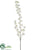 Viburnum Spray - White - Pack of 6