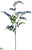 Vinca Spray - Helio - Pack of 12