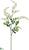 Vinca Spray - White - Pack of 12