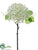 Viburnum Spray - White - Pack of 12