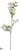 Viburnum Spray - White - Pack of 12